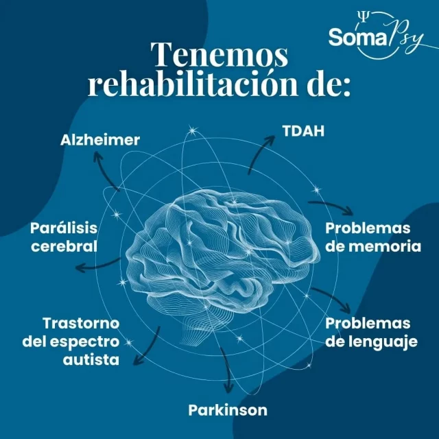 Entrada de Instagram 17979840254665349