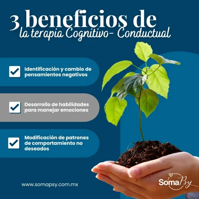 Conoce #SomaPsy y transforma tu vida 💡 

#TCC #BienestarMental