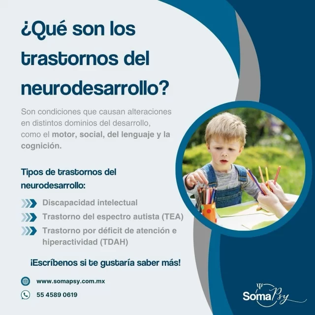 En SomaPsy podemos ayudarte 😊 ¡Escríbenos para más información!

#somapsy #clinicadepsicologia #neuropsicologia #psicoterapia #terapiacognitivoconductual #rehabilitaciónneuropsicológica #trastornosdelneurodesarrollo #desarrolloinfantil #psicologosmexico #terapiainfantil #adultosmayores #terapiaenadultomayor #terapiaenadolescentes #terapiaenniños #terapiaenniñosyadolescentes